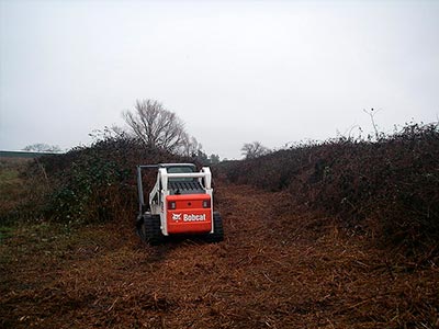Brush Clearing, Roseville, CA
