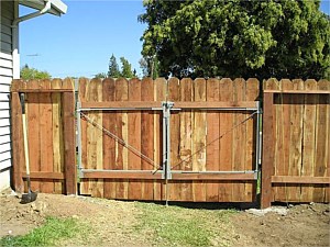 Photo 24