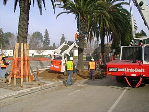 Photo 44