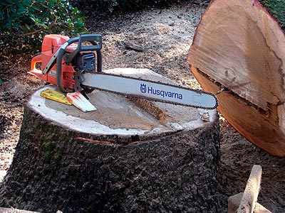 Landscape Services, Roseville, CA Landscape Services, Roseville, CA